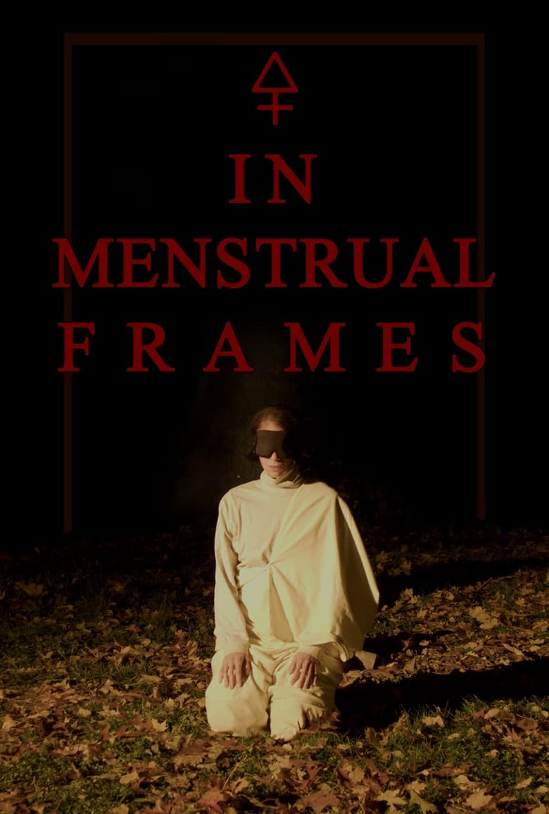 Poster of In Menstrual Frames