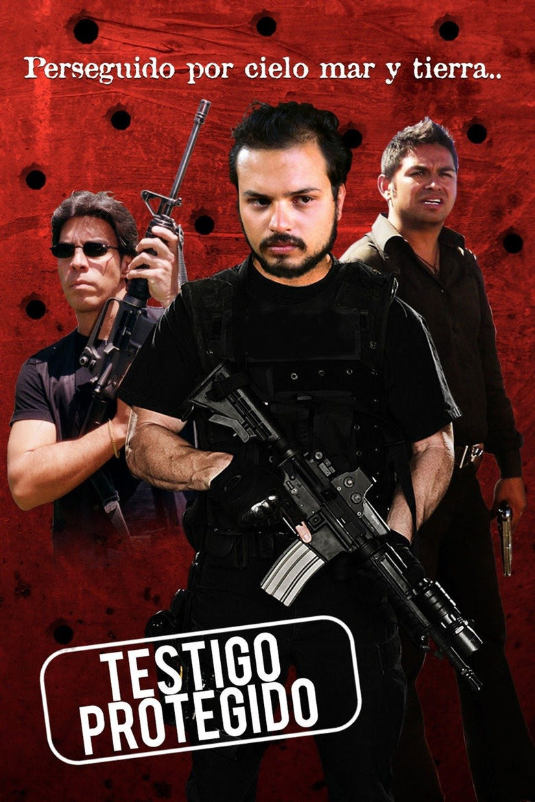 Poster of Testigo protegido