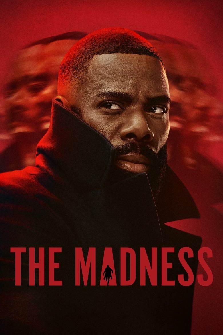 Poster of The Madness