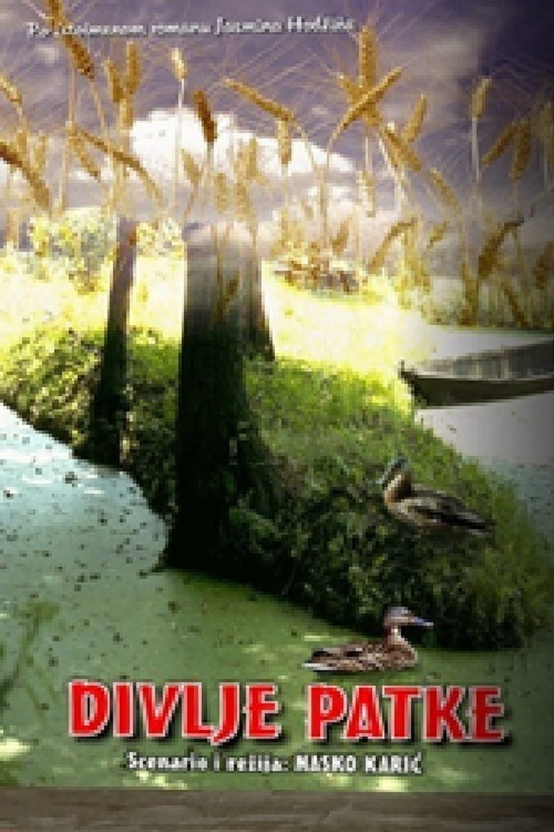 Poster of Wild Ducks