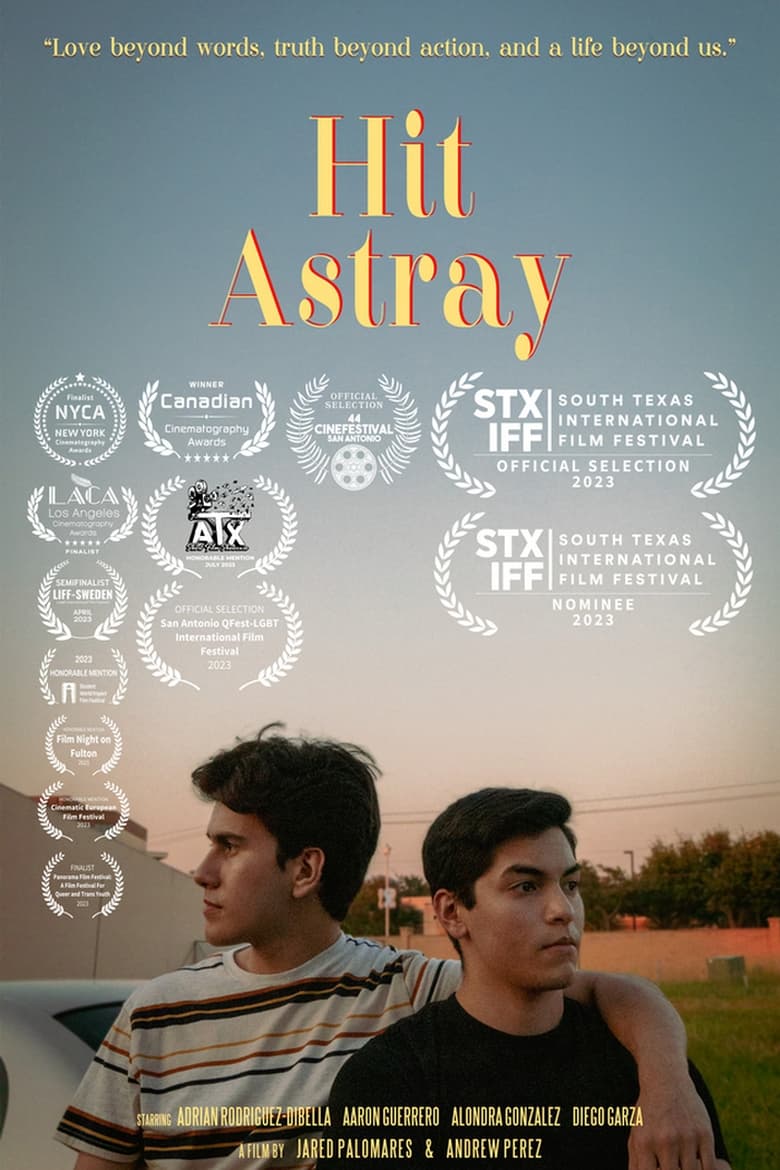 Poster of Hit Astray