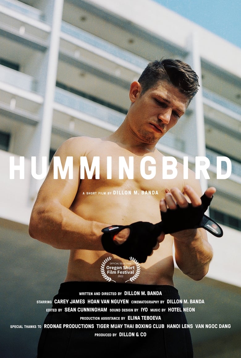 Poster of Hummingbird