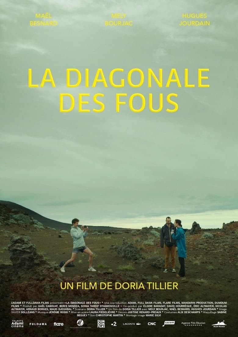 Poster of La diagonale des fous