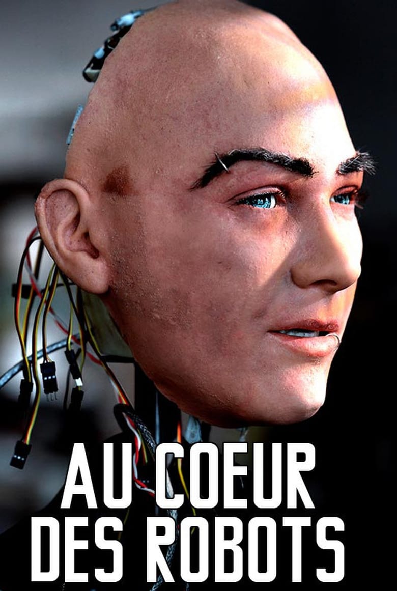 Poster of Au cœur des robots