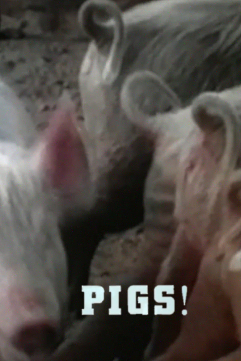 Poster of Pigs!