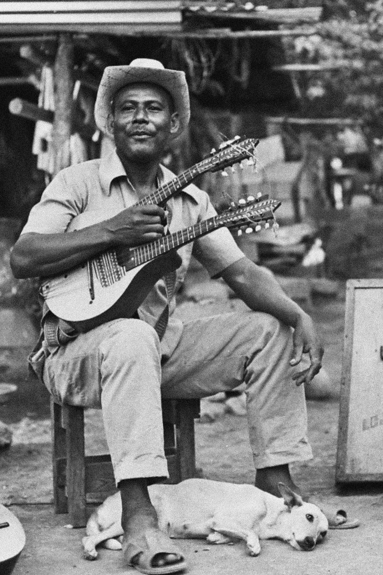 Poster of El rey del bandolín