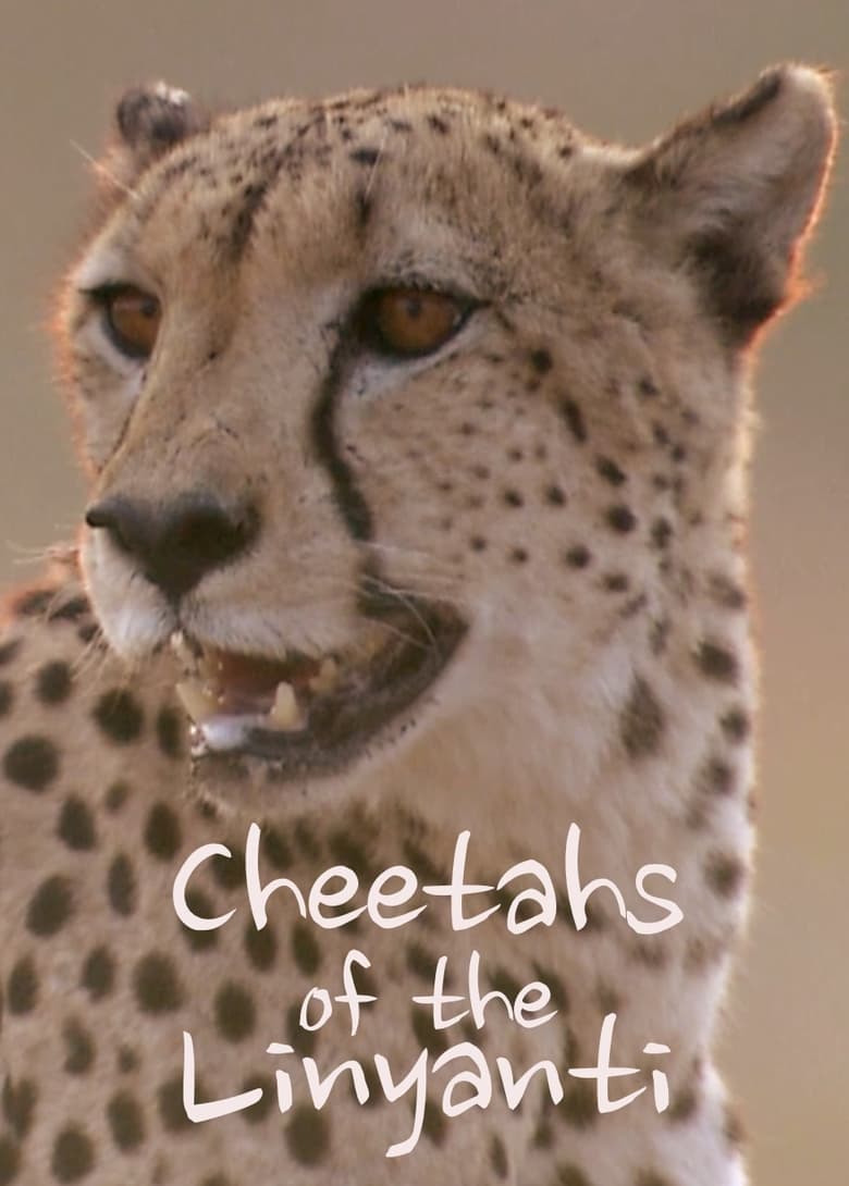 Poster of Cheetahs of the Linyanti