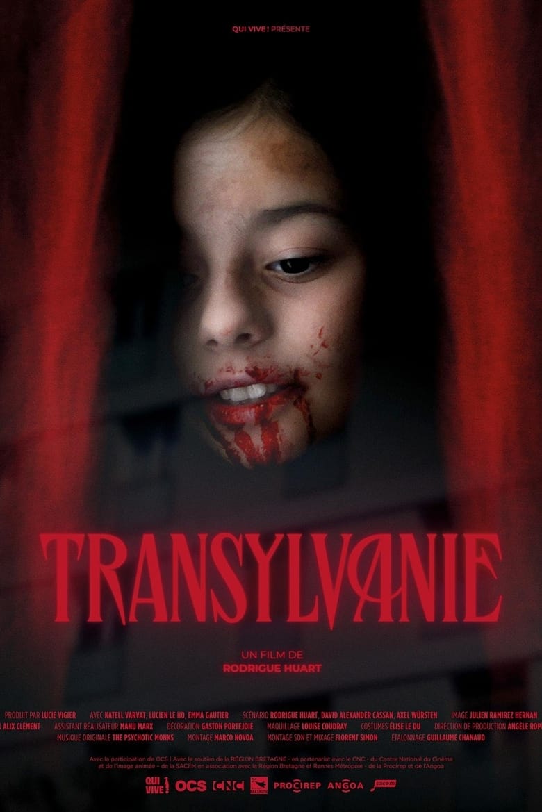 Poster of Transylvanie