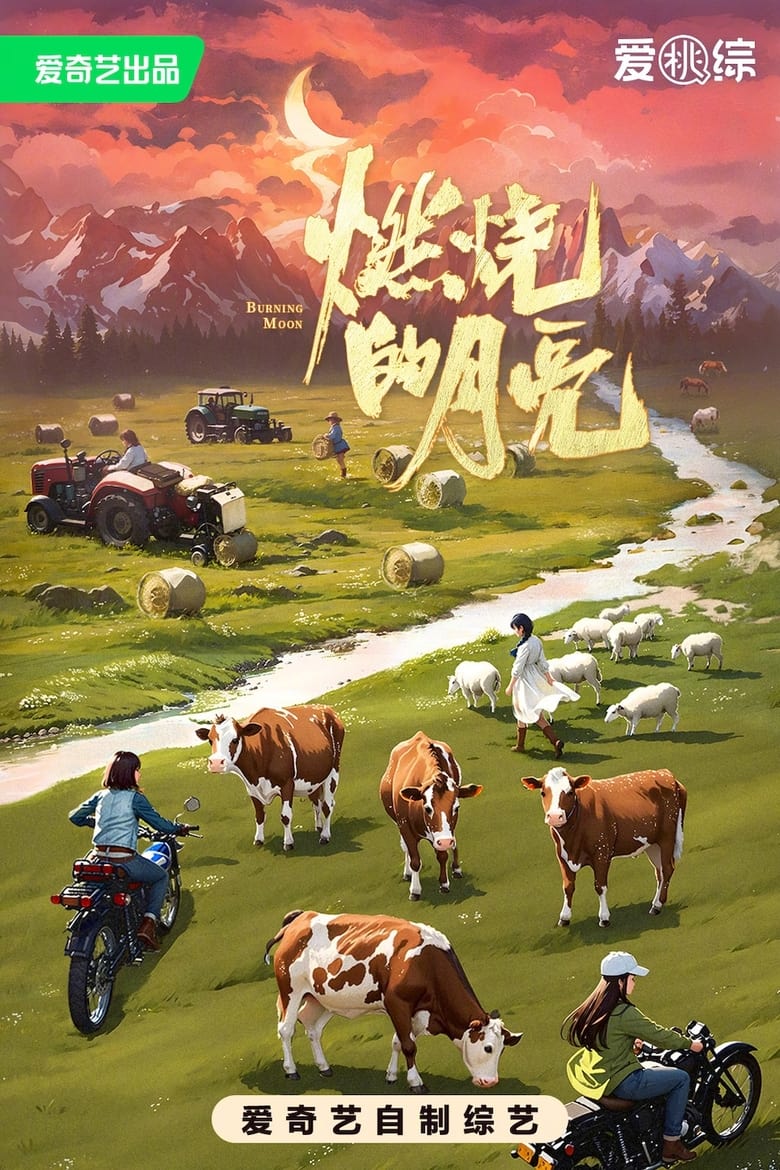 Poster of 燃烧的月亮