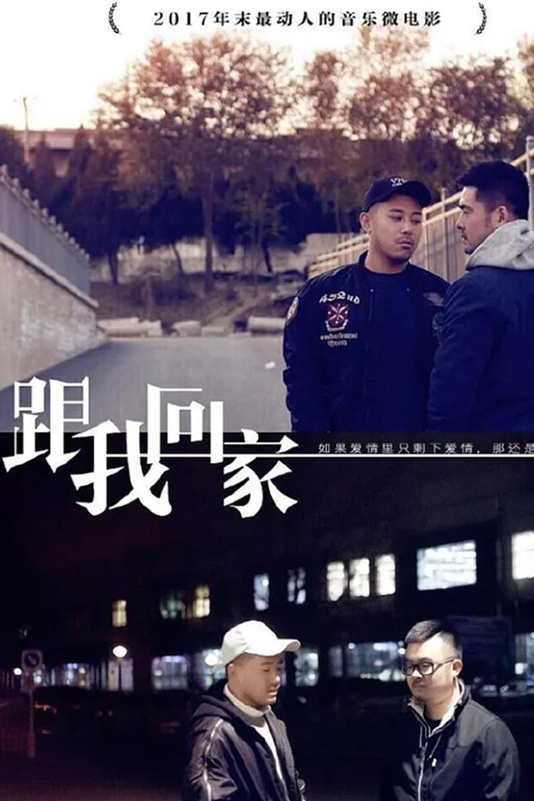 Poster of 跟我回家