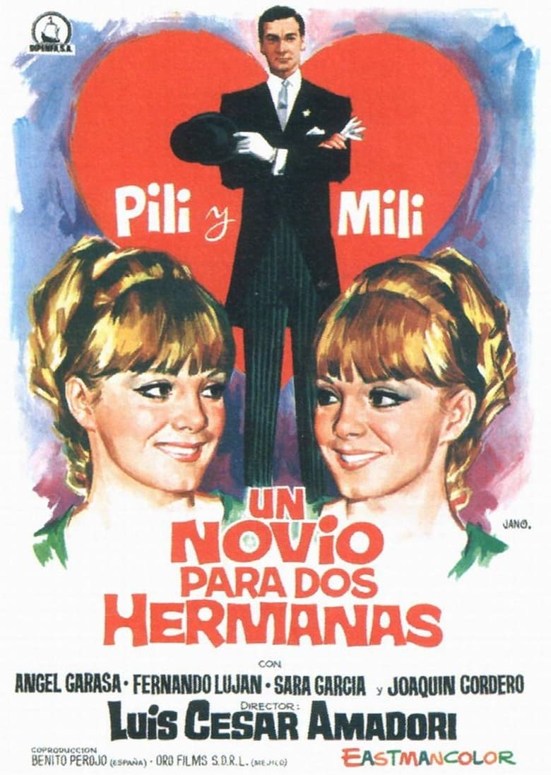 Poster of Un novio para dos hermanas