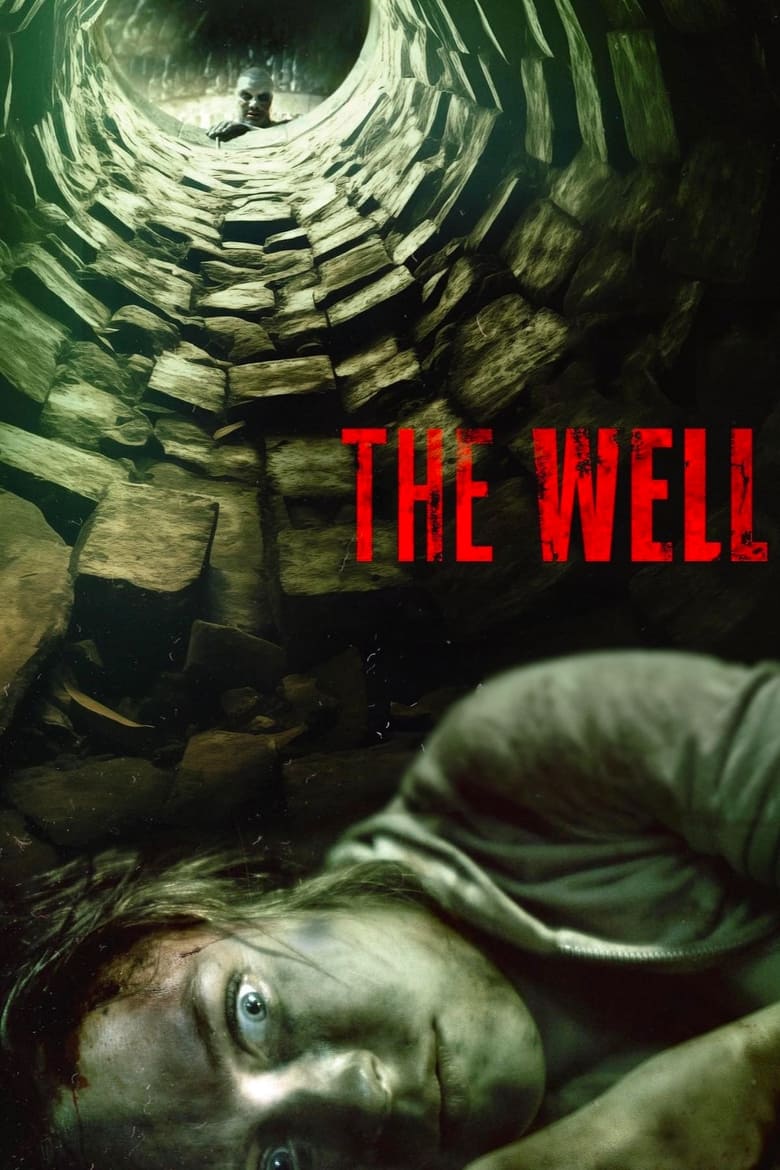 Poster of The Well