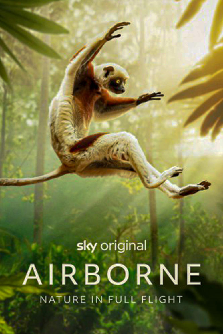 Poster of Airborne