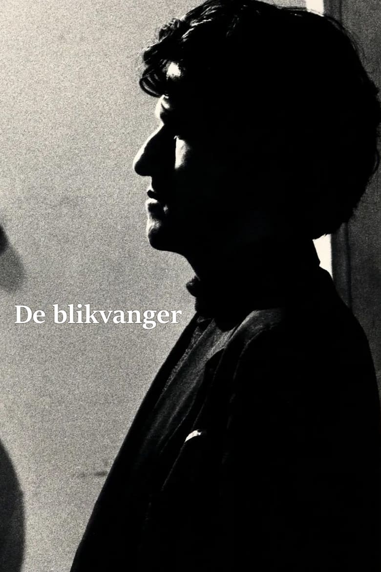 Poster of De blikvanger