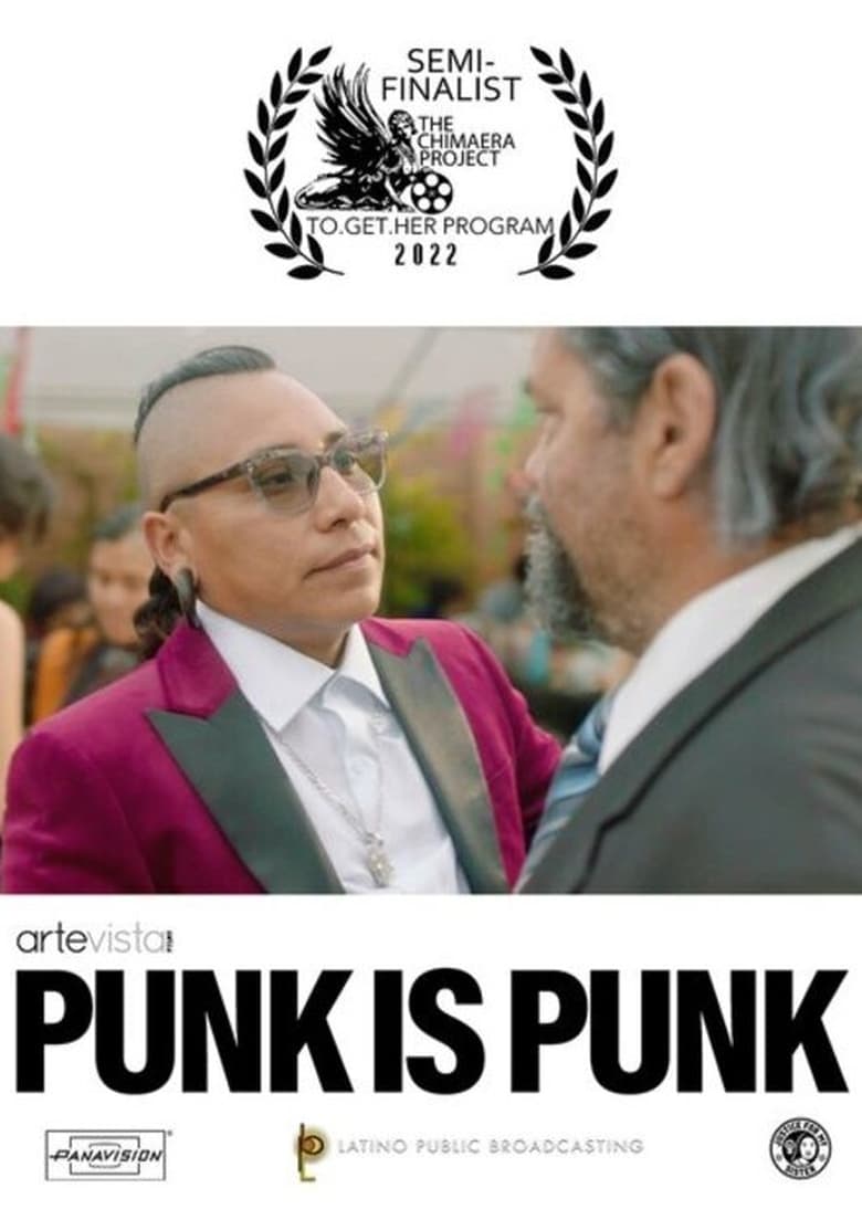 Poster of Punk Is Punk