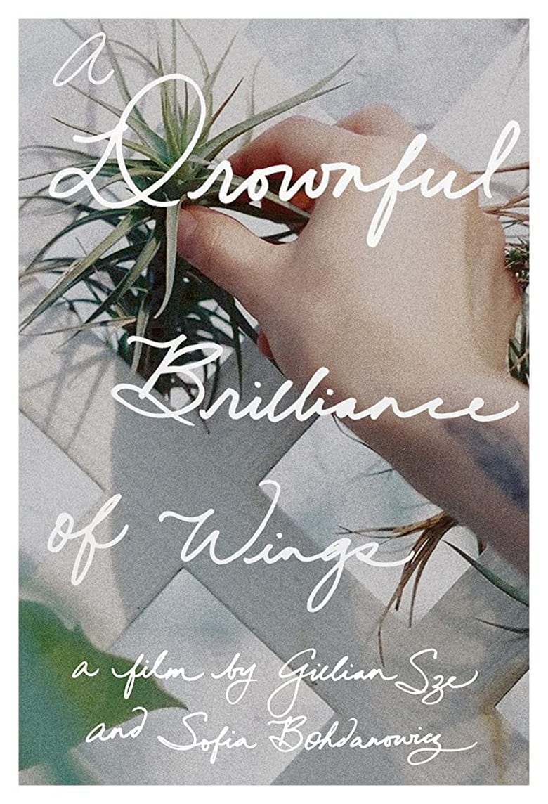 Poster of A Drownful Brilliance of Wings