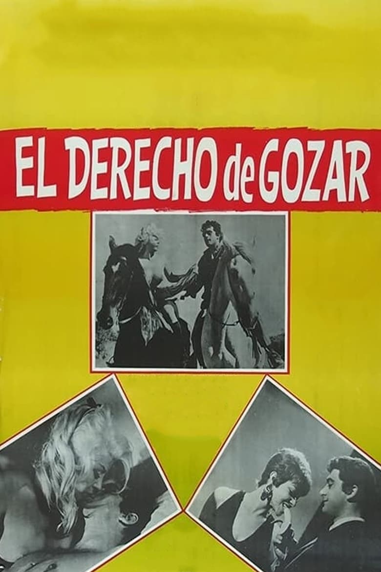 Poster of El derecho de gozar