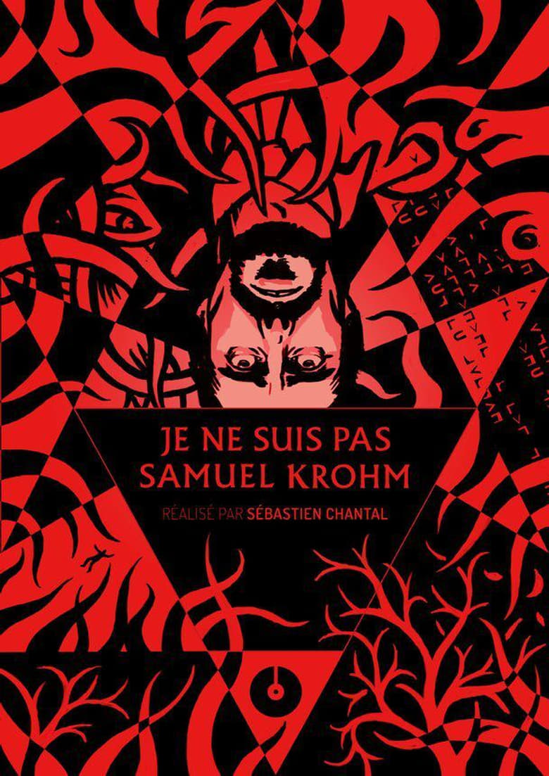 Poster of I Am Not Samuel Krohm