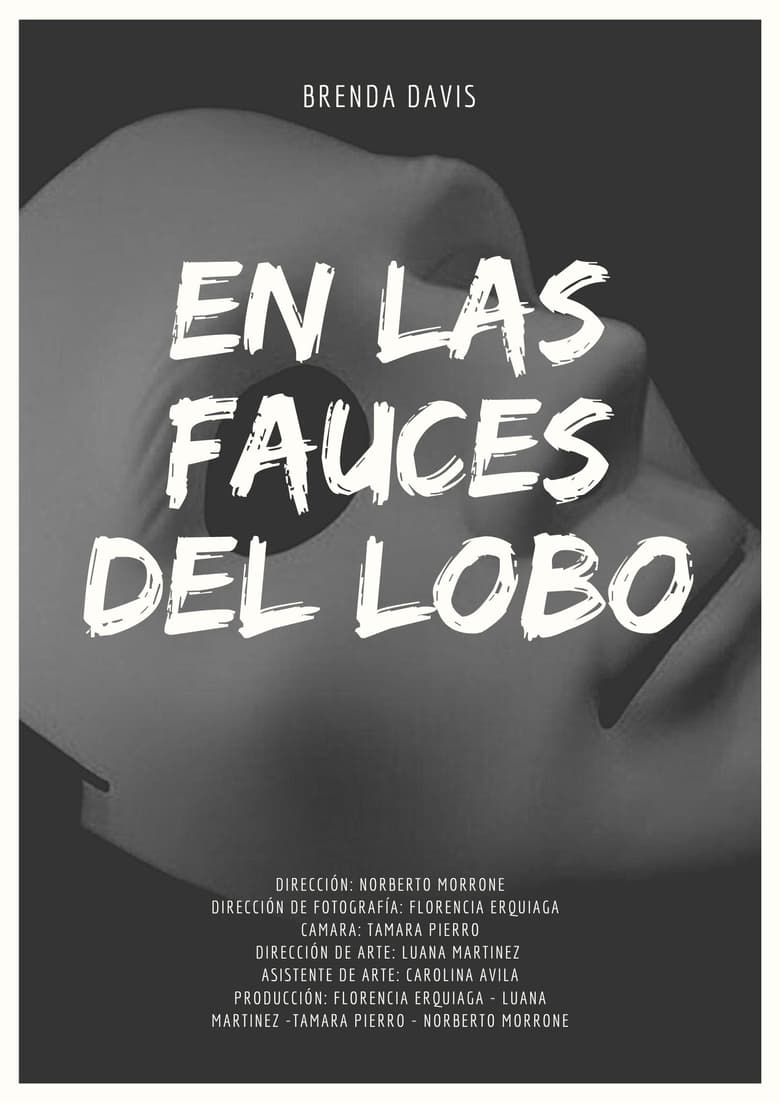 Poster of En las fauces del lobo