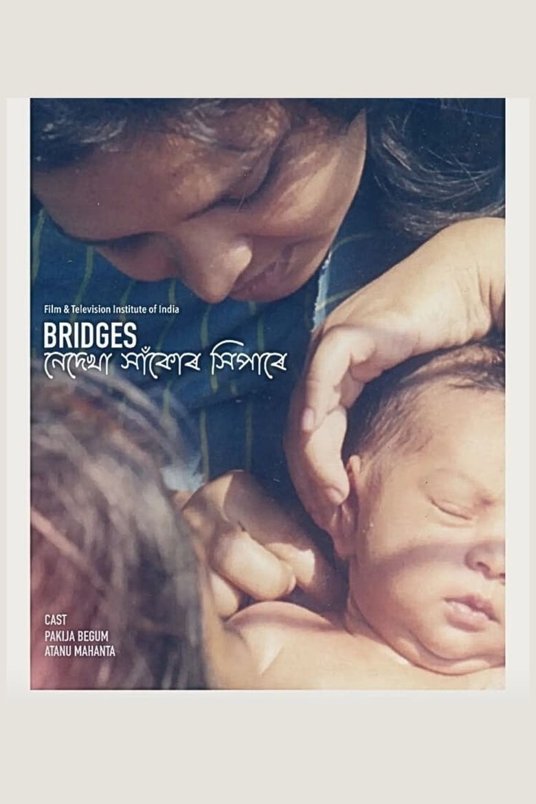 Poster of Bridges