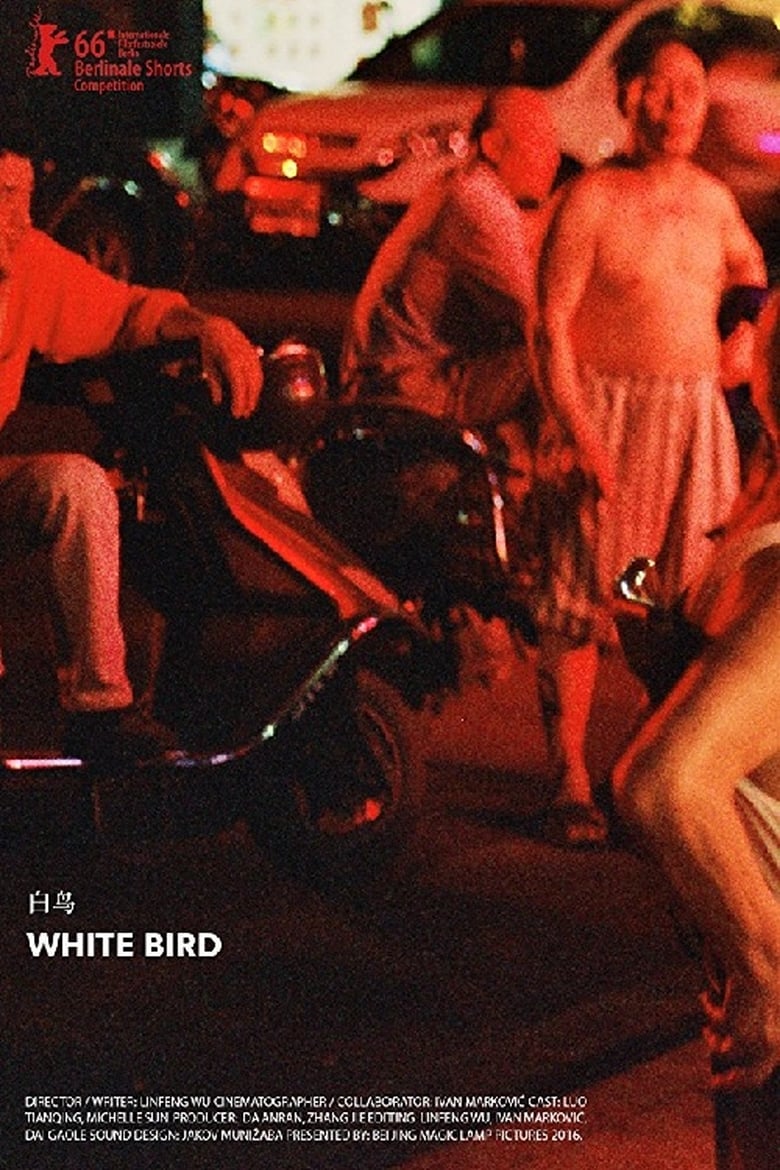 Poster of White Bird