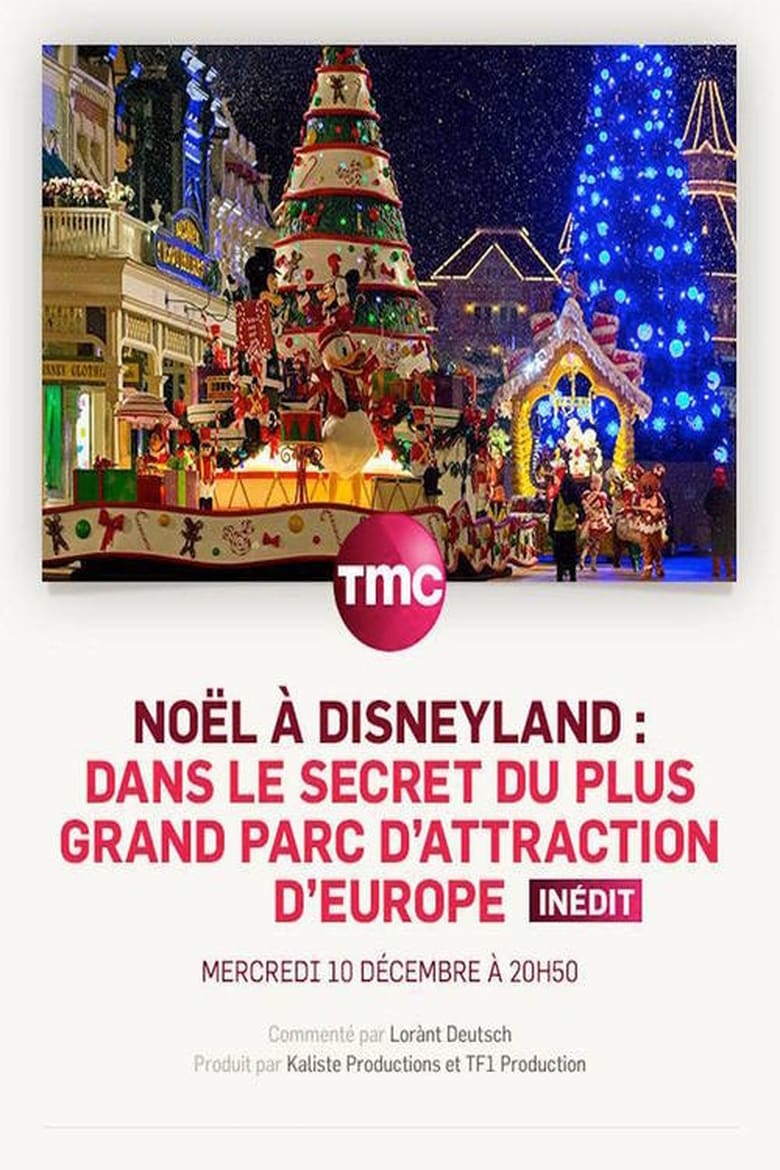 Poster of Noël à Disneyland : dans le secret du plus grand parc d'attraction d'Europe