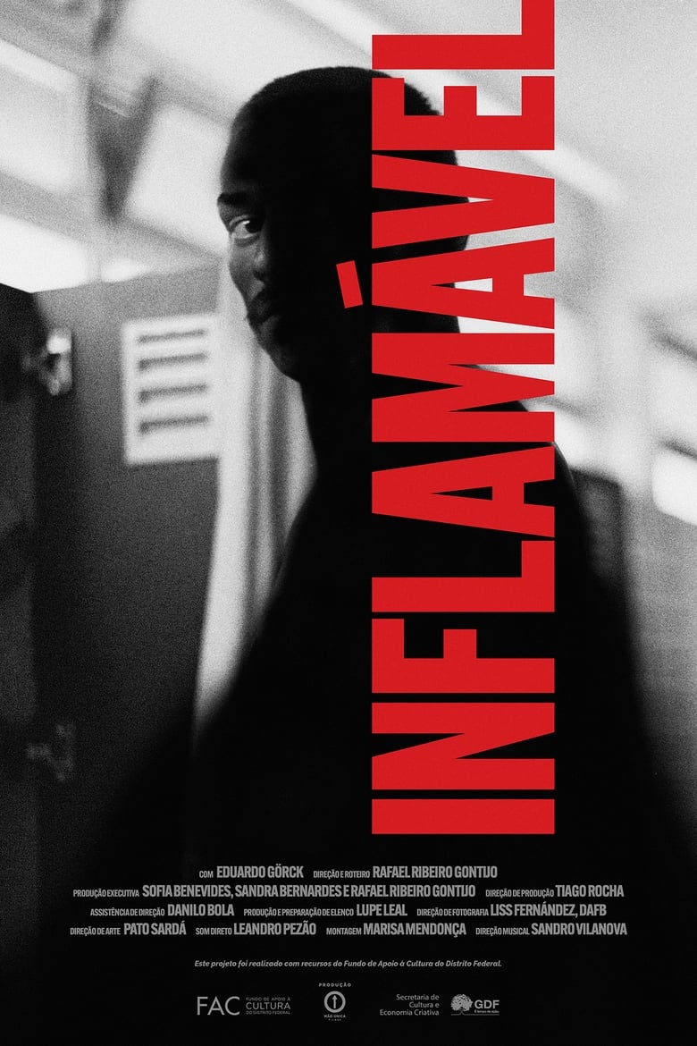 Poster of Inflamável