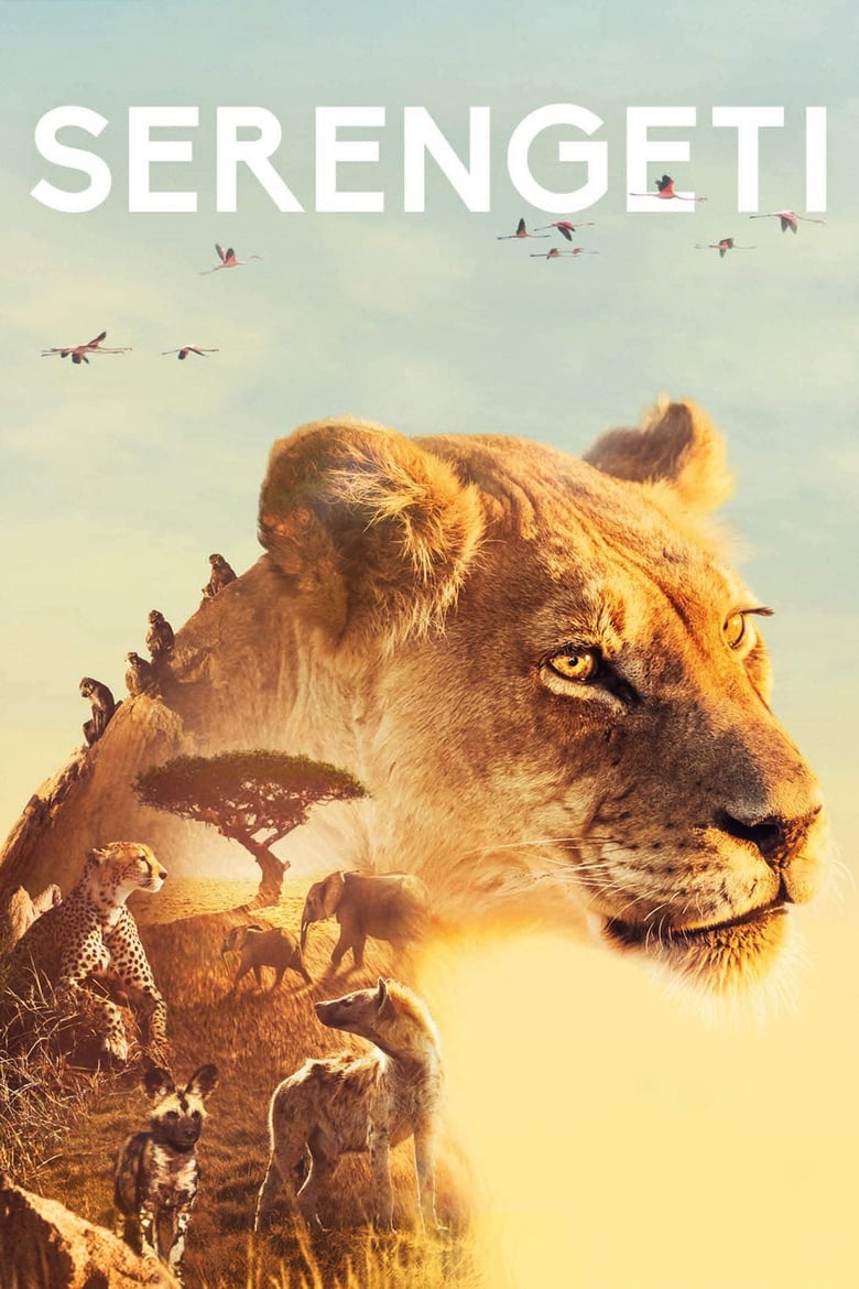 Poster of Episodes in Serengeti - Season 1 - Season 1