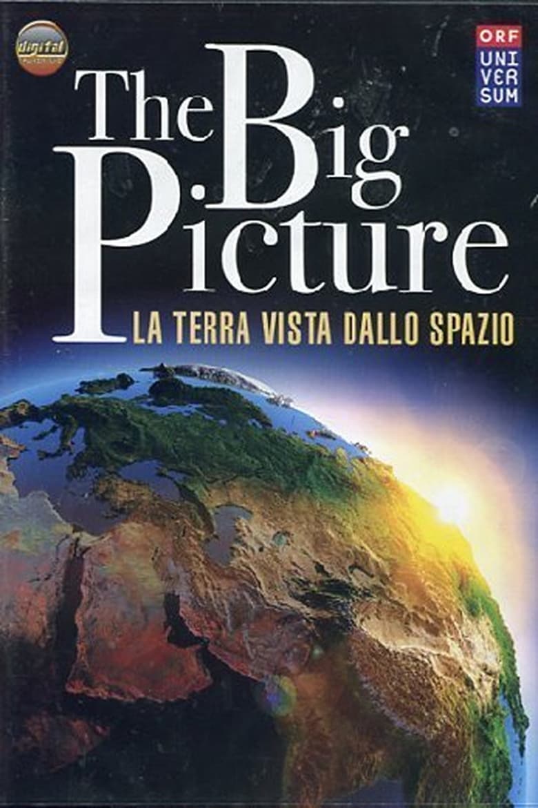 Poster of The big picture