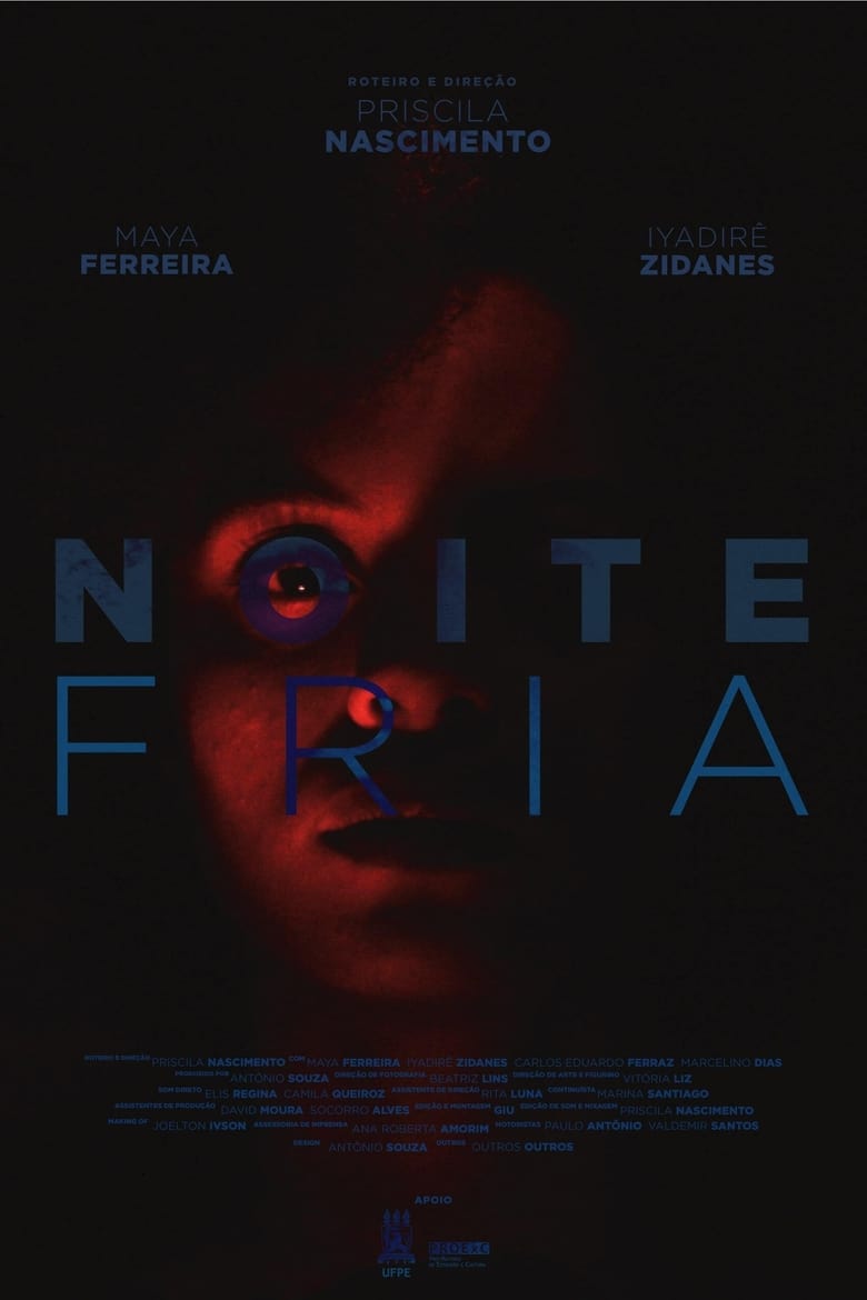 Poster of Noite Fria