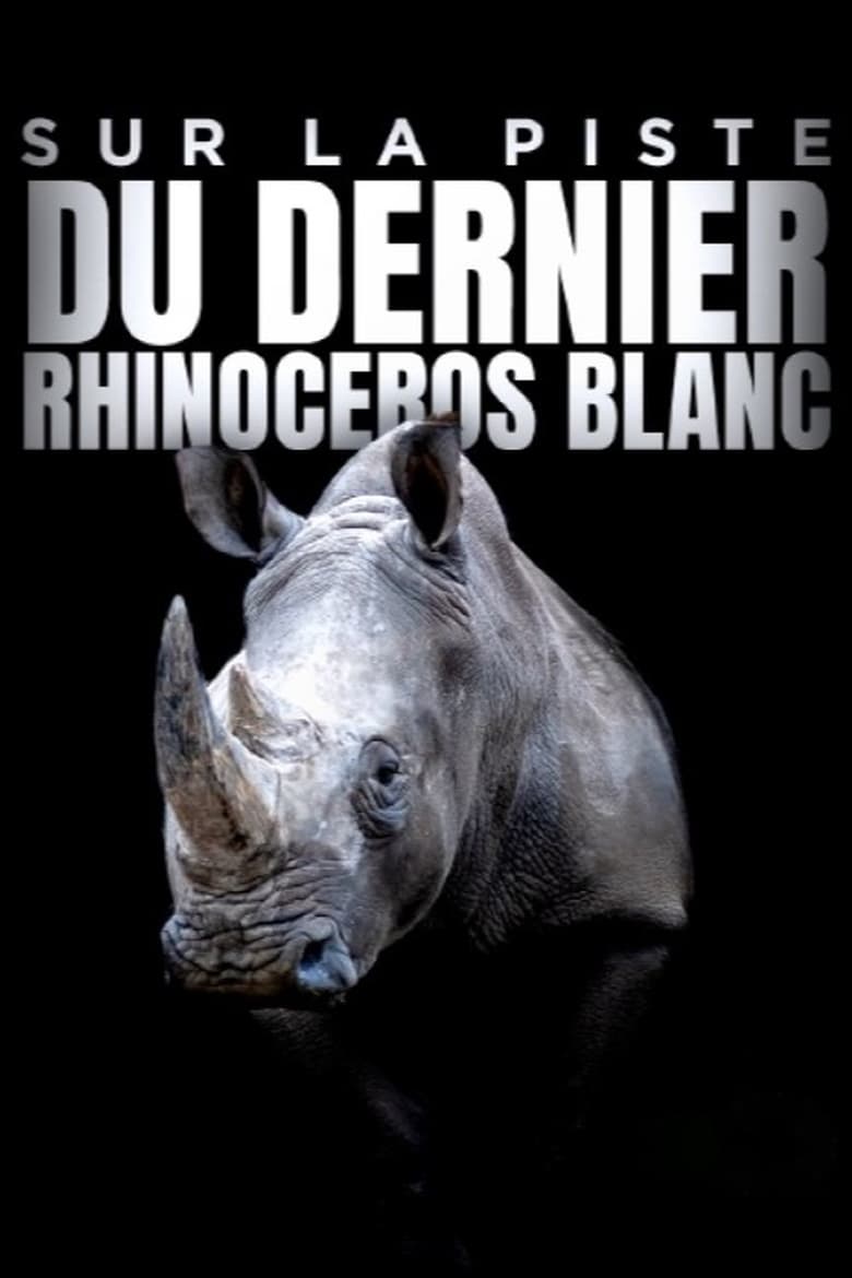 Poster of Sur la piste du dernier rhinocéros blanc