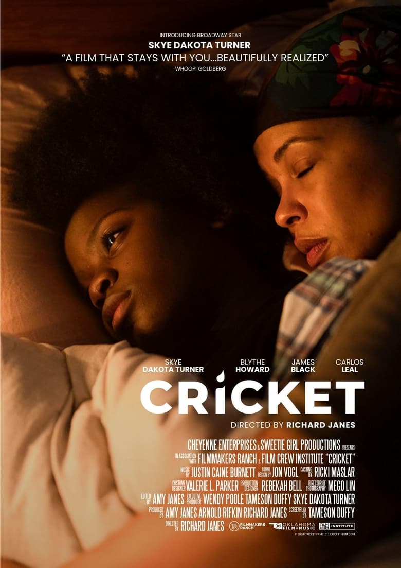 Poster of Cricket