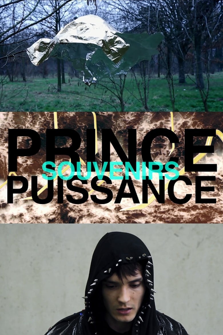 Poster of Prince, puissance, souvenirs