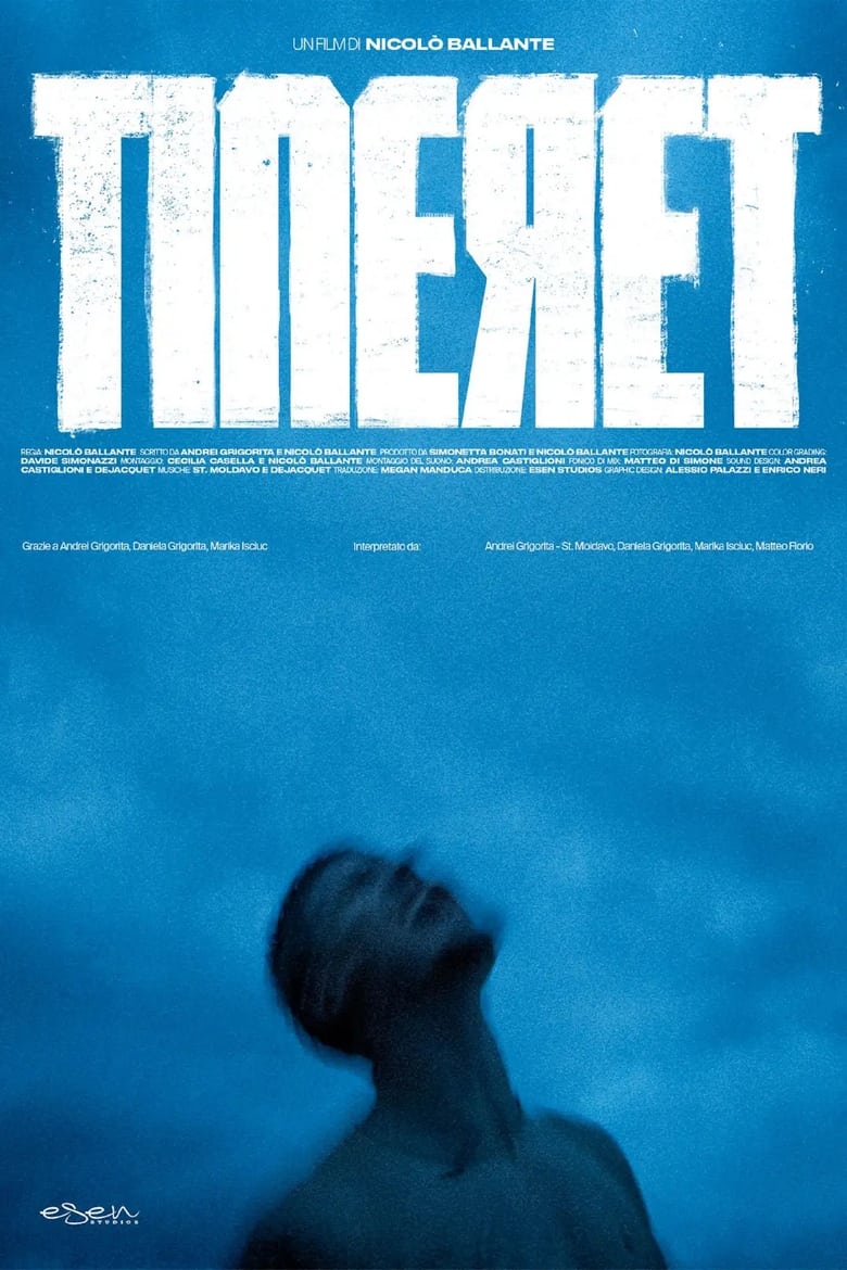 Poster of Tineret