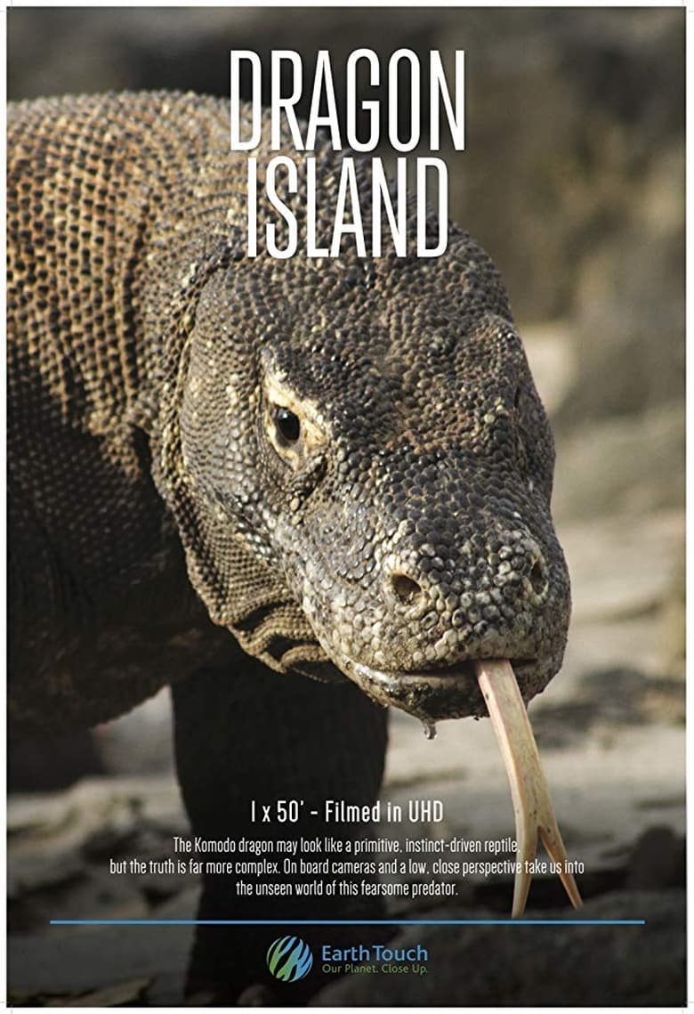 Poster of Dragon Island