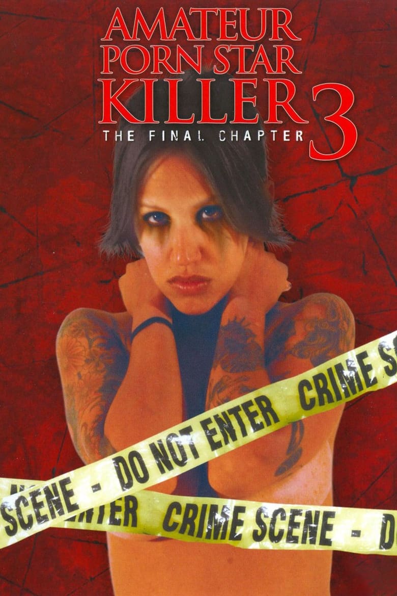 Poster of Amateur Porn Star Killer 3: The Final Chapter