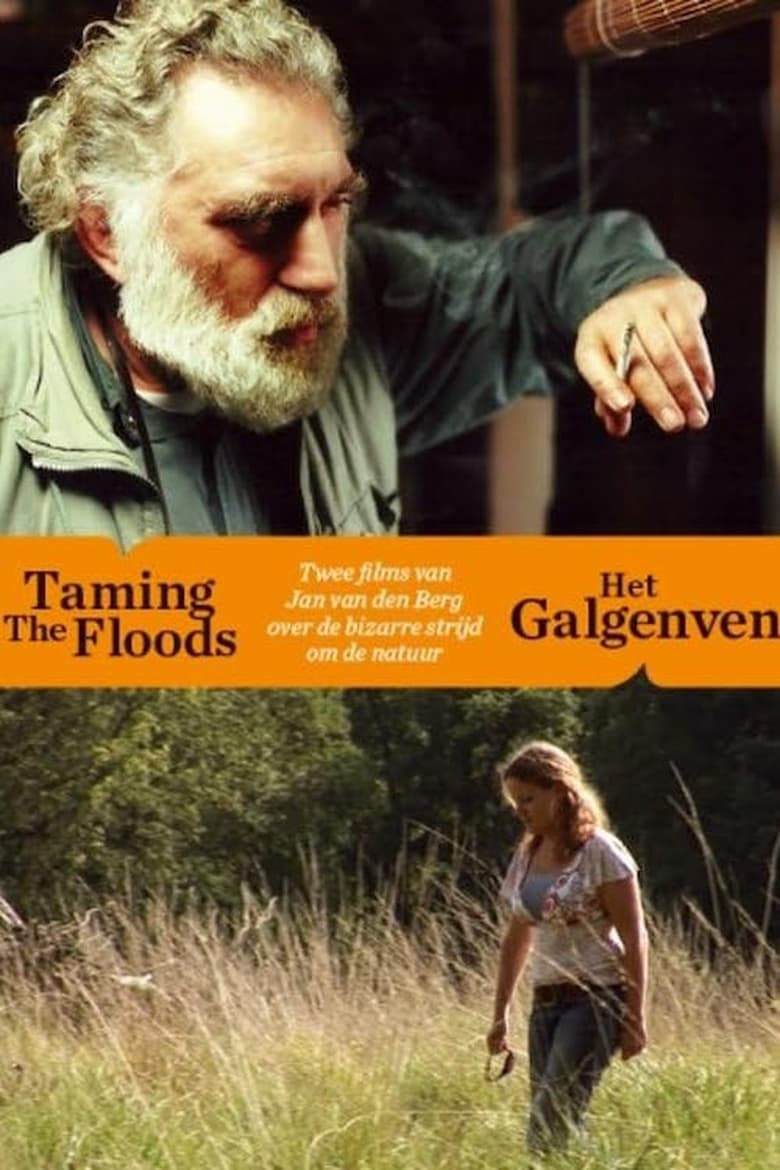 Poster of Taming the Floods