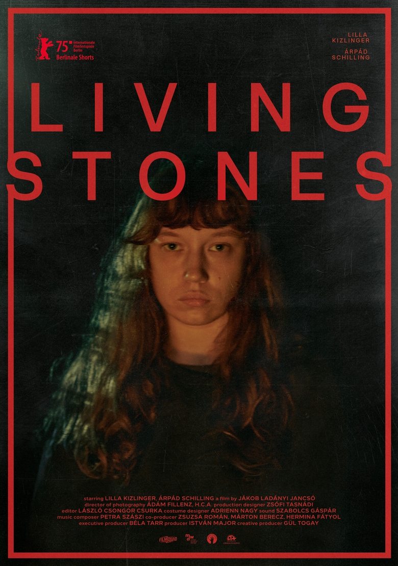 Poster of Living Stones