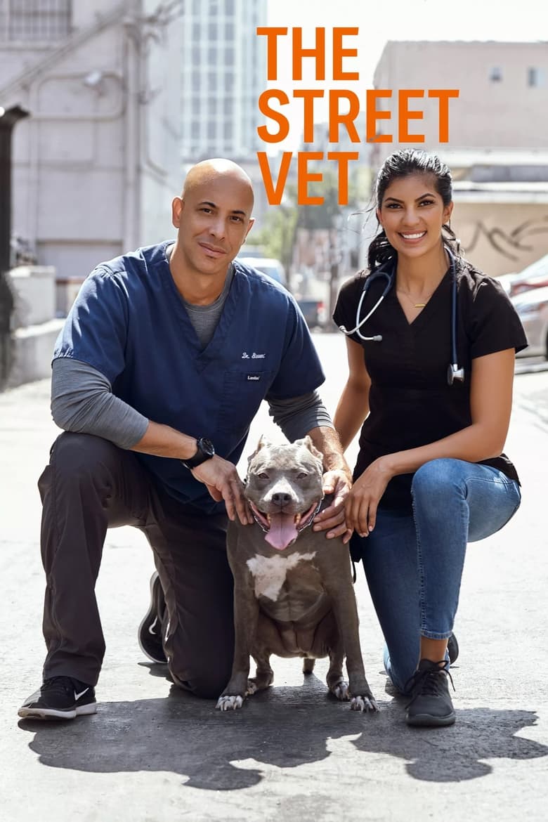 Poster of The Street Vet