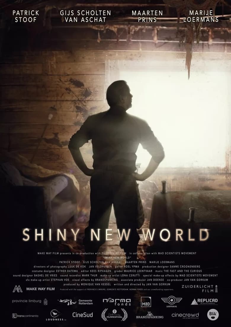 Poster of Shiny New World