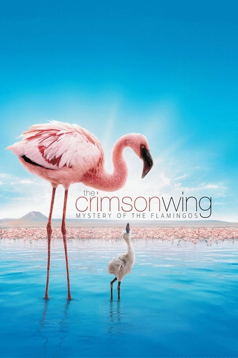 Poster of The Crimson Wing: Mystery of the Flamingos