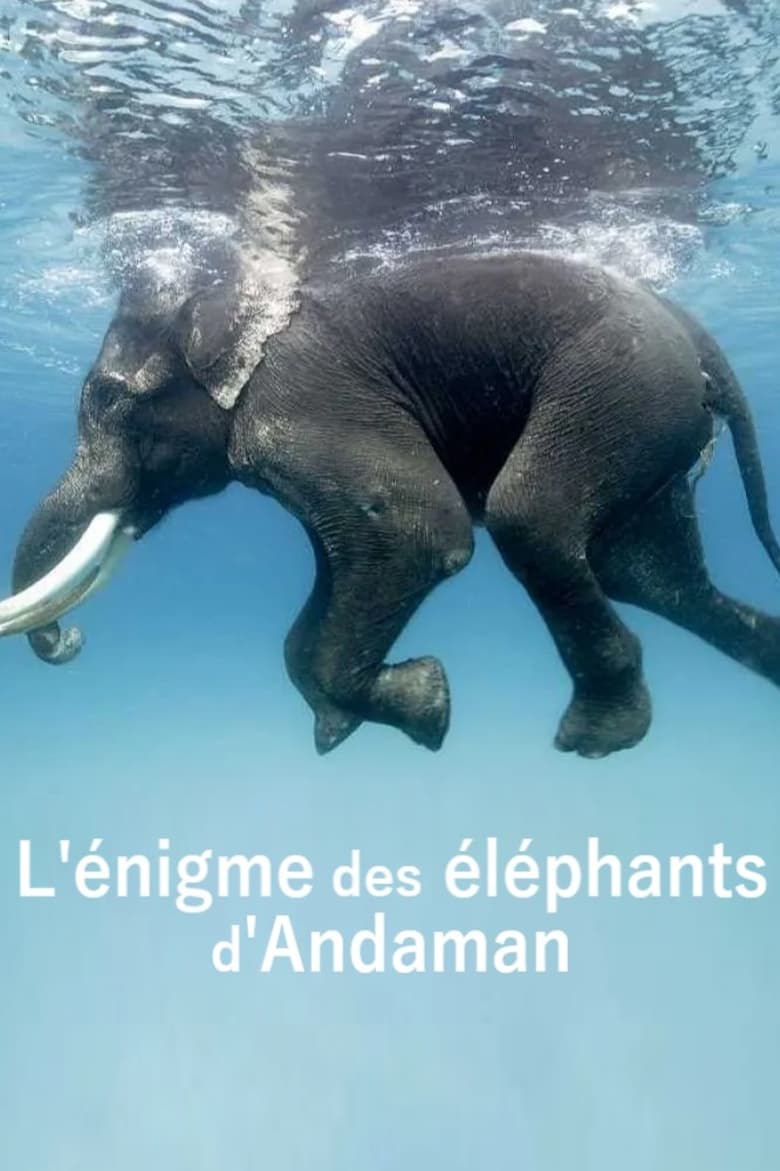 Poster of L'énigme des éléphants d'Andaman