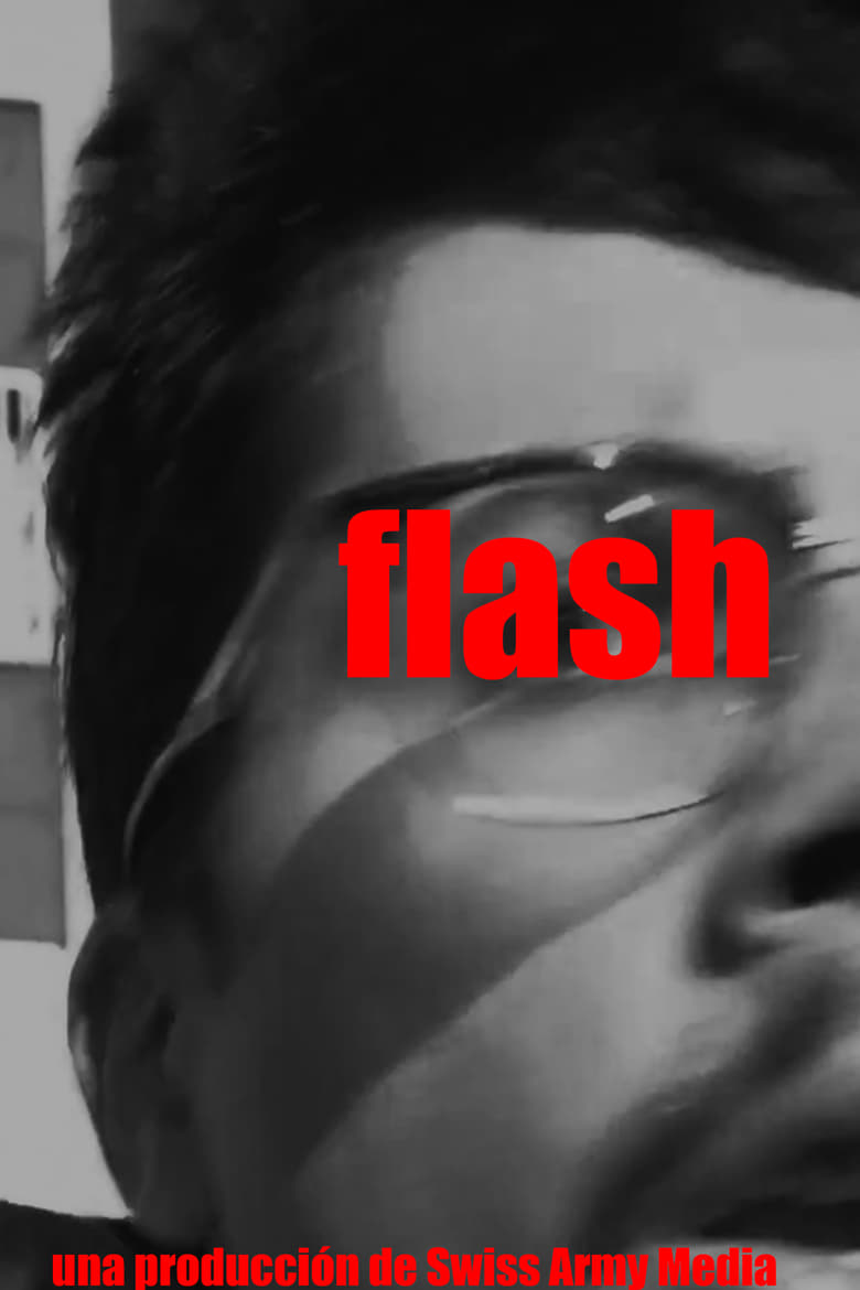 Poster of Flash