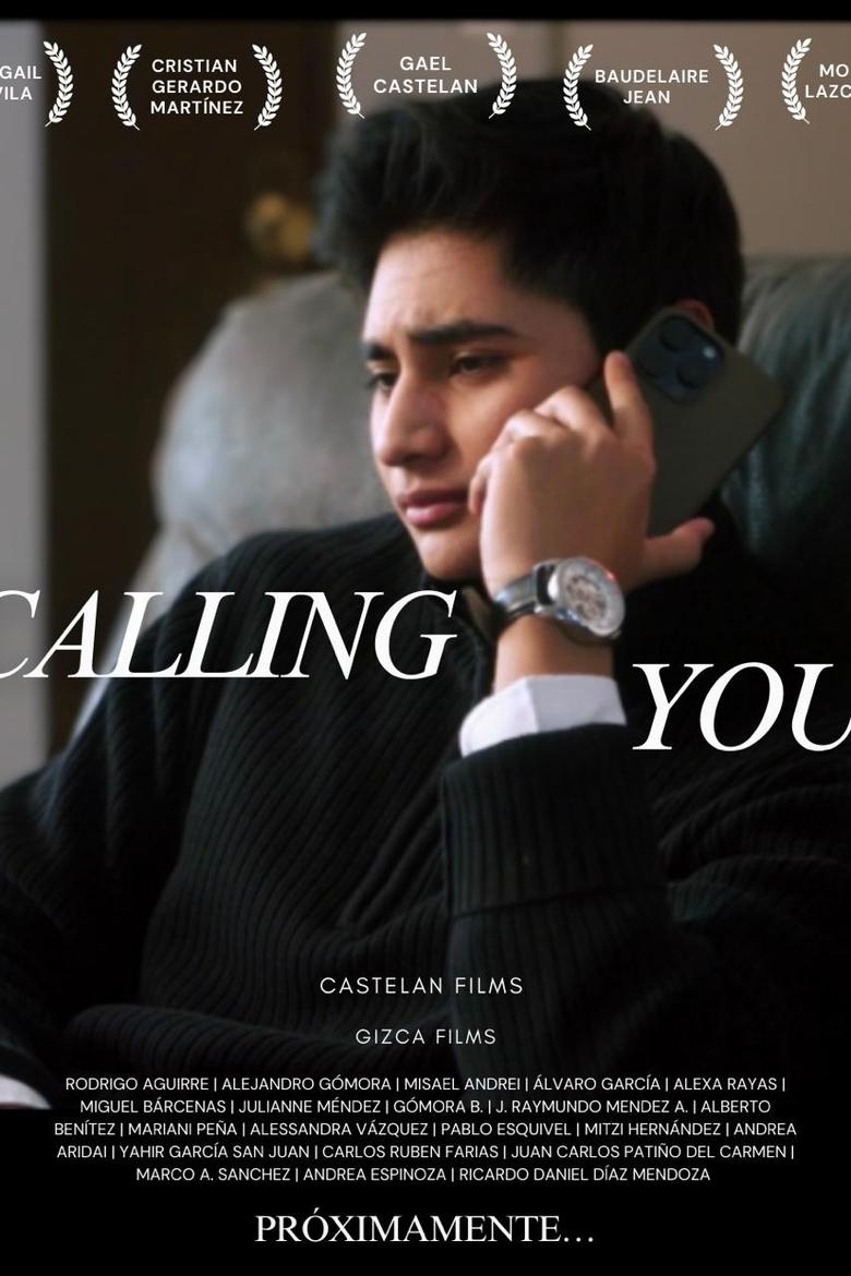 Poster of Calling You