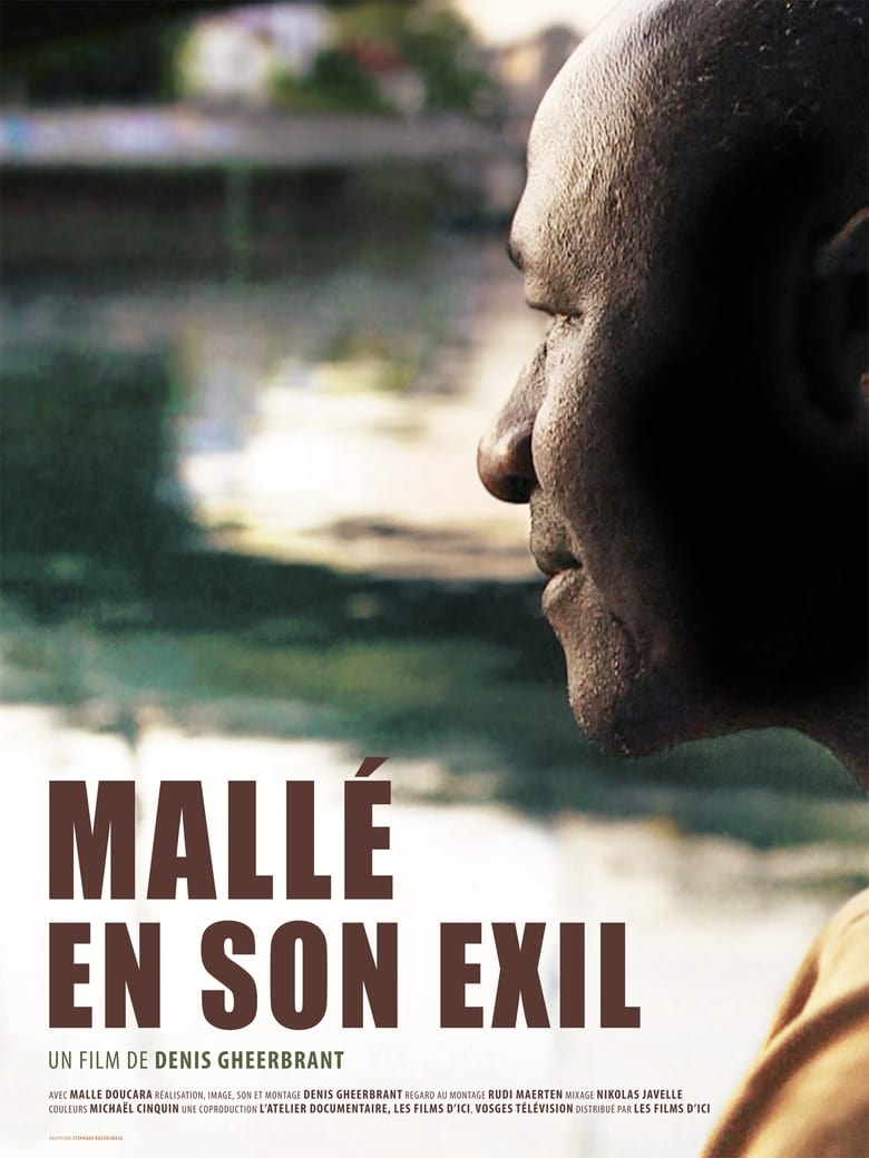 Poster of Mallé en son exil