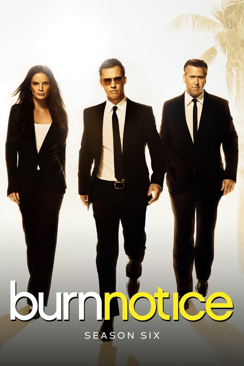 Poster of Cast and Crew in Burn Notice - Season 6 - Episode 2 - Mixed Messages