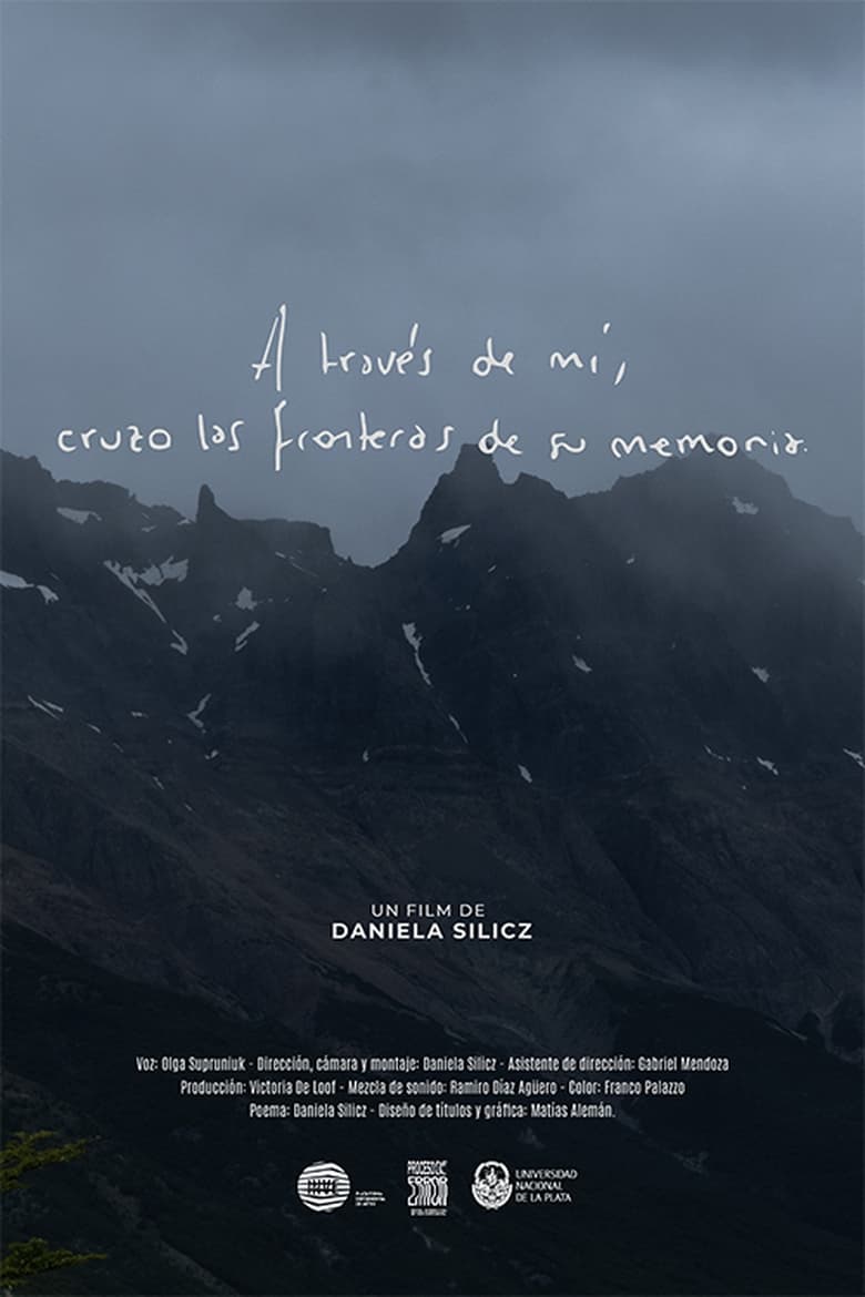 Poster of A través de mí, cruzo las fronteras de su memoria