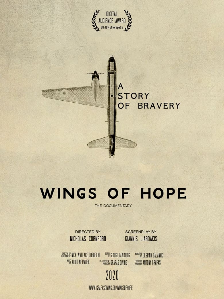 Poster of Wings of Hope - A story of Bravery