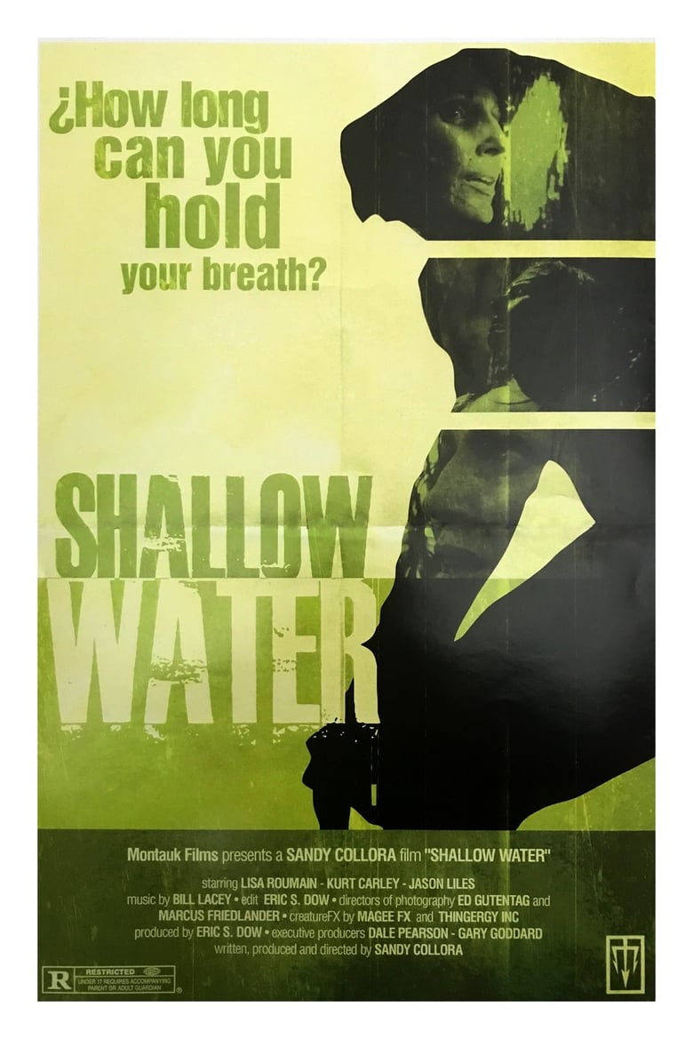 Poster of Shallow Water