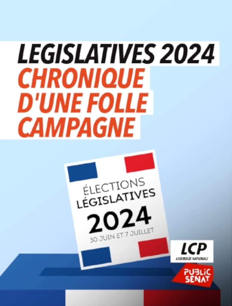 Poster of Législatives 2024 : chronique d'une folle campagne